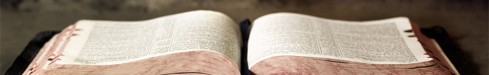 Searching the Scriptures: English Podcast